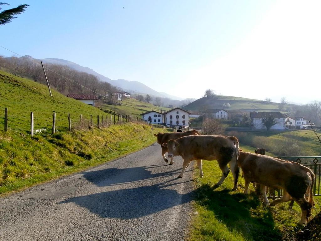 Casa Rural Zigako Etxezuria Luaran gambar